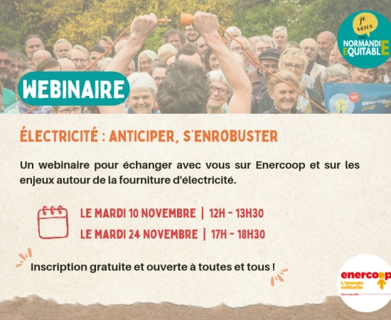 Électricité : anticiper, s'enrobuster Électricité : anticiper, s'enrobuster